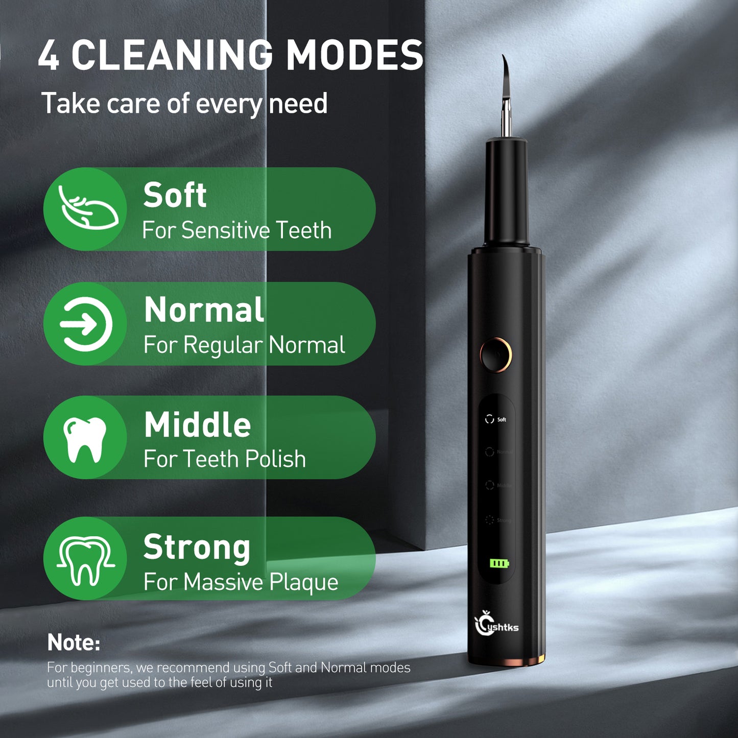 Plaque Remover for Teeth - Tartar Remover for Teeth, Dental Calculus Remover Teeth Cleaning Kit 4 Speed Modes with 4 Replaceable Heads, IPX6 Waterproof with LED Light